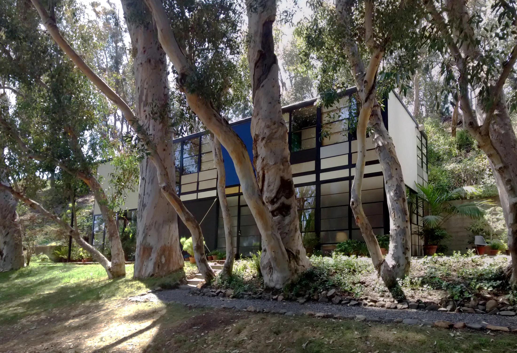 Eames House Case Study House No. 8, Pacific Palisades, California, showing the steel grid facade and glass panels